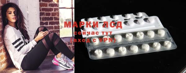 спайс Алзамай
