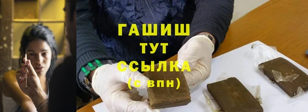 мет Алексин