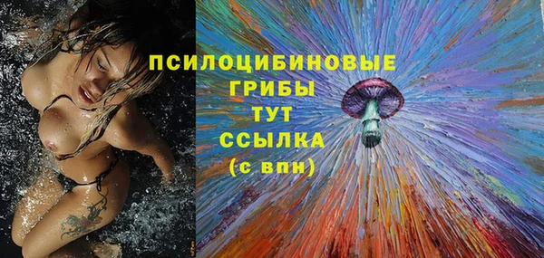 мет Алексин